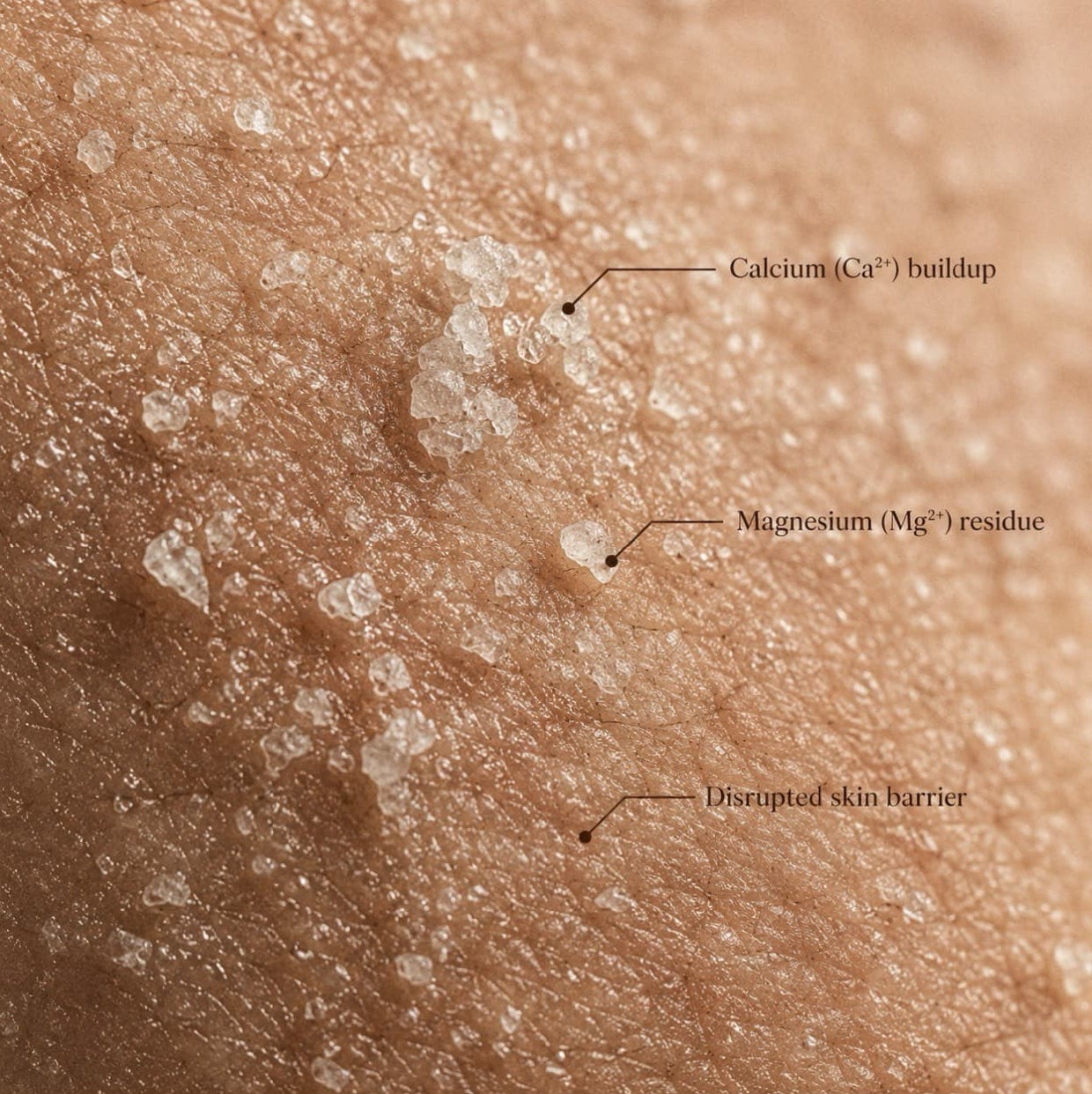 Hard Water Shield Cleanser