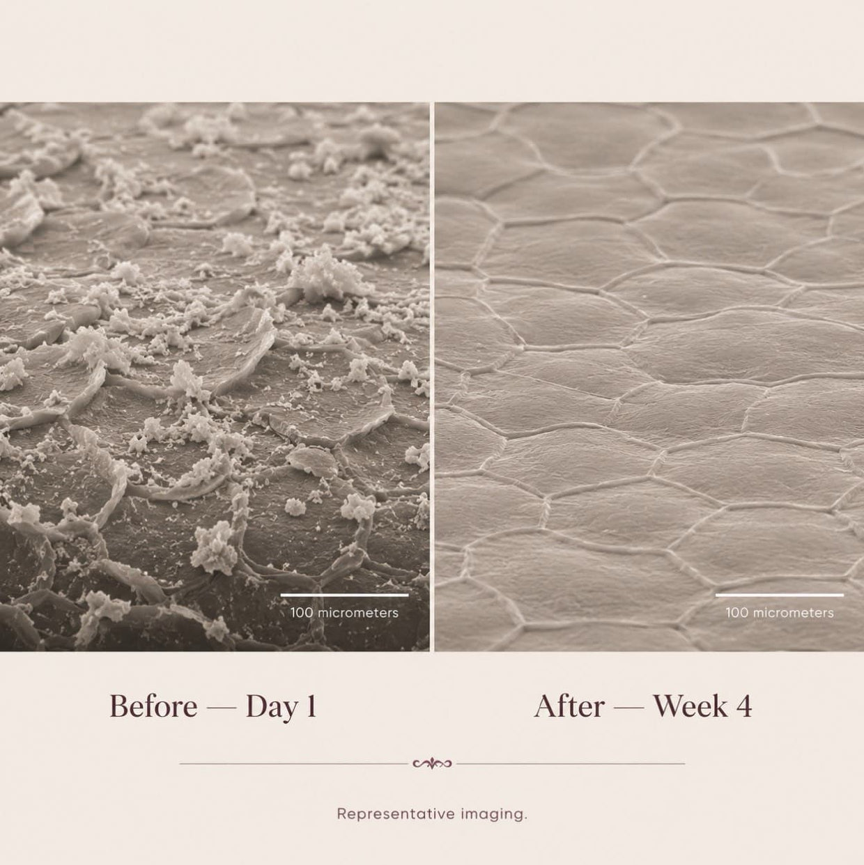 Hard Water Shield Cleanser
